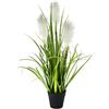 Flair Flower Pampa Erba in Vaso, Poliestere, Plastica, Bianco, 20 x 20 x 55 cm