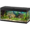 Ferplast Acquario dubai 100 nero con led -101 x 41 x h 53 cm - 190 l - ferplast