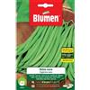 Blumen fagiolini nani bobis nano