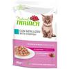 Natural Trainer Cat Kitten e Young con Merluzzo Bocconcini in Salsa 85 g