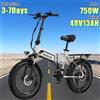 E Bike 750W Motore Brushless 48V13AH Batteria Al Litio Rimovibile Bici Elettrica Pieghevole 20 Pollici Pneumatico Pendolarismo Bicicletta Elettrica - Silver 500W48V13AH