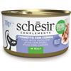 Schesir Cat Tonnetto con Cernia in Gelatina Lattina 70 gr