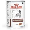 Royal Canin Dog Diet Adult GastroIntestinal Lattina in Patè 400 g
