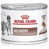 Royal Canin Veterinary Diet Recovery Ultra Soft Mousse 195 g
