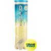 Head Tubo Palle HEAD Pro 4 Tennis