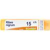 Ribes Laboratoires Boiron Boiron Ribes Nigrum 15Ch Granuli 4 g