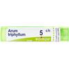 Arum Triphyl BOI BOIRON® Arum Triphyllum Granuli 5 Ch Contenitore Multidose 4 g