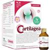 SALUGEA CARTILAGEA SALUGEA 18 FLACONCINI DA 12 ML