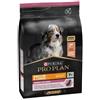 Purina Pro Plan Pro Plan Dog Mature & Senior 7+ Medium OPTIderma con Salmone 3 kg