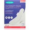Lansinoh Maternity Pads 0-2 weeks 10 pz