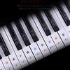 Alnicov Adesivi per tastiera per pianoforte per tasti 88/61/54/49/37, senza lasciare residui, adesivi per tasti per pianoforte rimovibili per tastiera