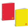 BLASETTI MAXI QUADERNO SPIRALE ONE COLOR FLUO C/FORI 60 FF BIANCHI A4+ 1R BLASETTI 7752