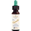 ALCHIMIA BENOIT BENOIT FIORI DI BACH LARCH