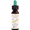 ALCHIMIA BENOIT SRL BENOIT FIORI DI BACH WILD ROSE