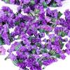 SSyang 30g Mini Fiori Secchi per Resina,Veri Piccoli Fiori Secchi Naturali per Artigianato in Resina,Fiori Secchi Colorati per Resina,Piccoli Fiori Pressati Secchi per Gioielli Epossidici Fai da Te