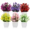 LEIMEND 6 Pezzi Piante Finte Finto Mini Piante Artificiali Piantine Finte Decorative con Vasetto Piantine Finte Decorazione Della Tomba Decorazione del Bagno Della Cucina e Del Soggiorno