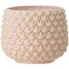 Nordring Vaso Pino - per Fiori da Interno e Piante da Interno, Piante grasse, Cactus, Orchidee L (16,5 cm ø), SEL de Mer, Ceramica Gres
