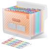 ThinkTex Cartella Portadocumenti Espandibile, A4 Porta Documenti Fisarmonica, 12 Tasche Raccoglitore Documenti, Portatile Cartelle a Soffietto per Casa Scuola Ufficio Viaggio - Arancia
