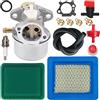 ZAMDOE 499059 Carburatore Filtro Aria per Briggs & Stratton 799869 497586 792253 122T02 122K02 122M02 5hp 6hp 6.5hp 6.7hp Tosaerba Motori per Troy Bilt Idropulitrice Generatore