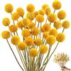 HIULLEN Billy - 50 palline con fiori secchi gialli, per composizioni floreali fai da te, matrimoni, casa, vaso alto