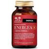 SALUGEA (RELOAD Srl) ENERGEA+ NF SALUGEA 60CPS