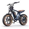 ENGWE Bici elettrica MileZoom1 Fat Tire, motore da 250 W, coppia 75 Nm, batteria da 832 Wh, pneumatici da 20x4,0", sospensione completa, freni idraulici - Milezoom1-Single-BK
