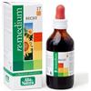 ALTA NATURA-INALME SRL REMEDIUM 17 RECIST 100ML