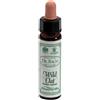 SANTIVERI Sa WILD OAT 10ML AINSWORTHS