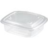 Dopla Professional Vaschette con coperchio Dopla Professional in PP conf. 50 pz 250 ml 6036 - F05860
