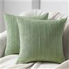 Topfinel Federe Cuscini 40x40 in Velluto a Coste per Divano Salvia Japonica Verde Copricuscini Quadrati Elegante Decorativa per Salotto Moderno Cuscino Cerniera Invisibile per Camera da Letto 2 Pezzi