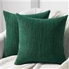 Topfinel Federe Cuscini 40x40 in Velluto a Coste per Divano Verde Scuro Copricuscini Quadrati Elegante Decorativa per Salotto Moderno Cuscino Cerniera Invisibile per Camera da Letto Set 2 Pezzi