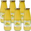 AGRO PIC Agropic Succo di Bergamotto Puro Bio, 720 ml, Bergamotto Succo Puro Biologico, 6 bottiglie, Senza Zuccheri Aggiunti e Conservanti, Realizzato in Calabria