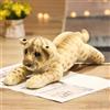 TRAVELKNOT Grande Peluche Leone 60CM, Giallo, Morbido Leone Giocattolo