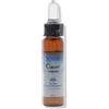FORZA VITALE ITALIA Srl Cerato Fiori Mediterranei 10ml