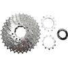 GUOFANG Pignone per bicicletta, volano per mountain bike a 7/8/9/10 velocità, pignone a 10 velocità (11-36T)