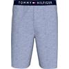 Tommy Hilfiger Jersey Short Um0Um03578 Pantaloncini, Blue (Light Blue Heather), XL Adulto