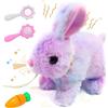Leonshco Coniglio Interattivo Elettrico, Suono Realistico, Orecchie Oscillanti, Naso Che Si Contrae, 18 cm, Giocattolo di Peluche per Ragazzi e Ragazze