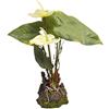Lucky Reptile IF-31 Anthurium, Kunststoffpflanze/Plastikpflanze mit Fuß, Weiß