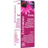 OPTIMA ECHINACEA ESTR FLUIDO FORTE 50