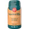 ERBA VITA Boswellia Serrata Integratore Articolazioni, 60 Capsule