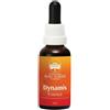 NATUR Srl DYNAMIS ESS 30ML