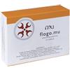 MU Srl FLOGO MU CPS