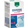 DIURERBE 24POCKET DRINK MELOGR