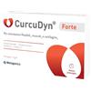 METAGENICS BELGIUM bvba CURCUDYN FORTE 30CPS