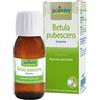 BOIRON BETULA PUBESCENS MG 60ML INT BO