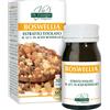 GIORGINI Dr.giorgini Boswellia Estratto Titolato Integratore Alimentare, 60 Pastiglie