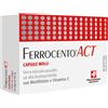 FERROCENTO ACT 30CPS MOLLI