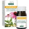 GIORGINI Dr Giorgini Echinacea Integratore per Vie Respiratorie 60 Pastiglie