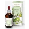 Erbamea Erisimo Sommita' Fiorite Estratto Idroalcolico 50 ml