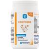 LABORATOIRE NUTERGIA ERGYCEBE 90CPS